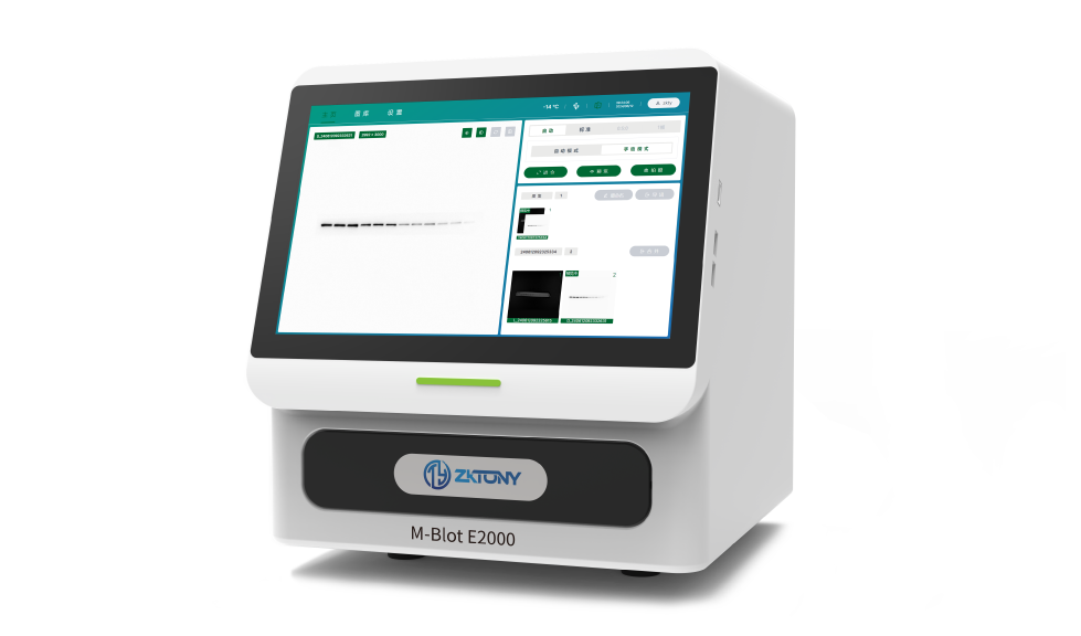 M-Blot化學發光成像儀